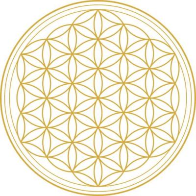 Ondes formes reequilibrer energies habitat geobiologie 84